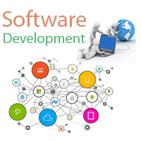 Customized Software Development